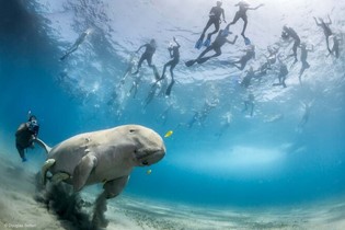 All You Have to Know About: Scuba Diving Marsa Alam